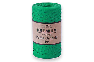 Premium Yarn Raffia Organic, Зелений No6