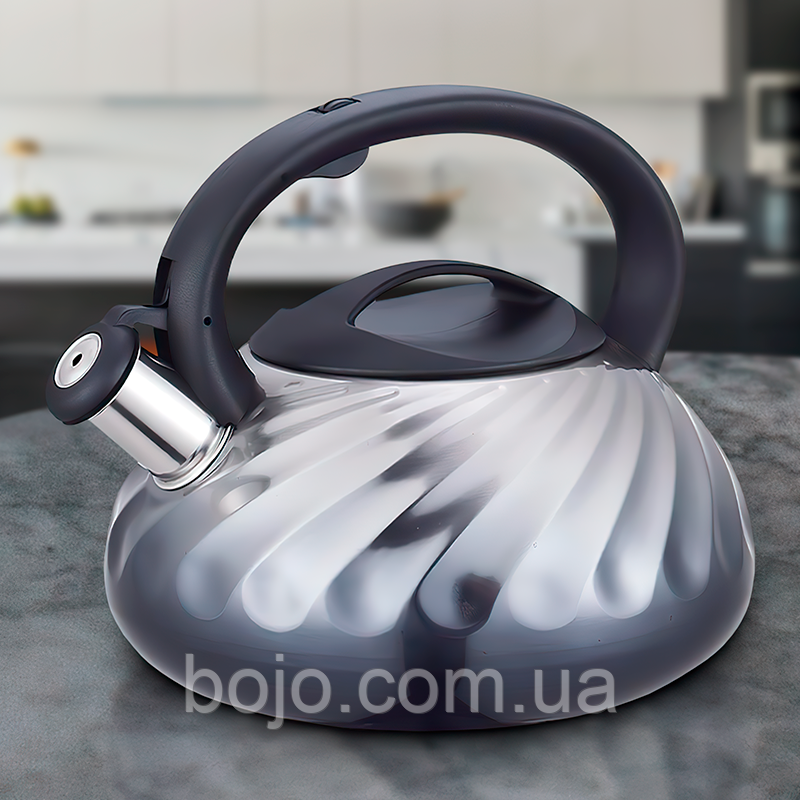 Чайник із нержавіючої сталі (об'єм 3,0 л) MR-1321-Grey Maestro (235)