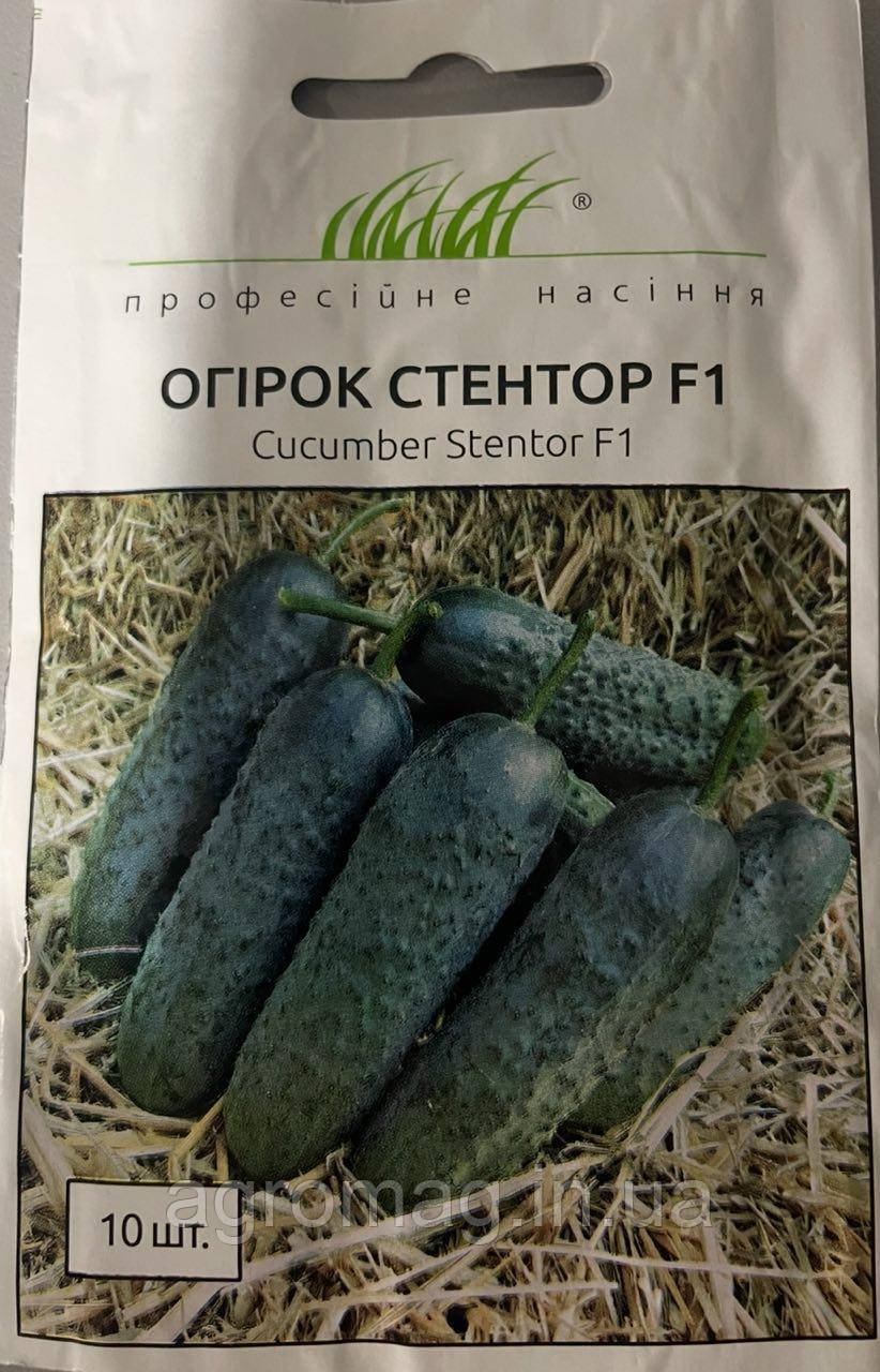 Огірок Стентор F1