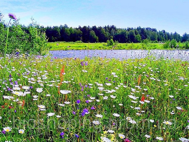 ГРВІ лікування