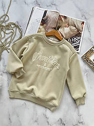 Кофта на дівчинку "Wurtkiv" на флісі Сірий 4101, 104, Hone Baby, Сірий, Для дівчаток, Зима, 140