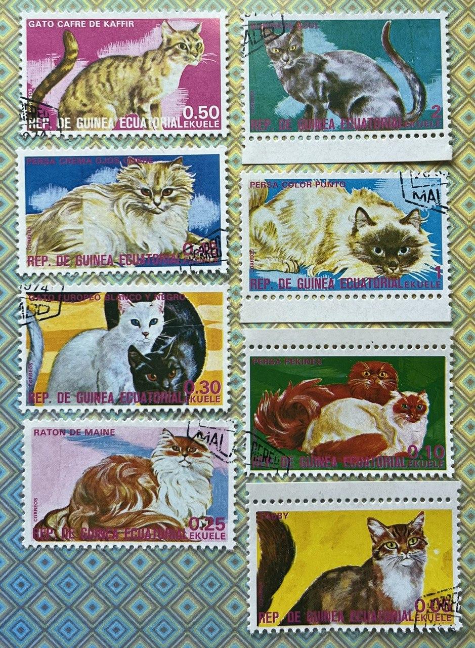 Набір Екваторіальна Гвінея - Кішки, фото 1