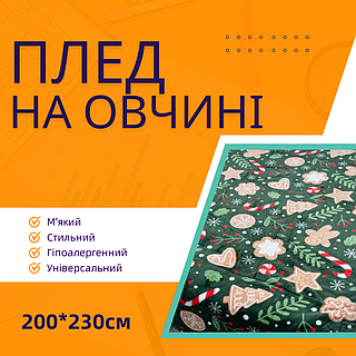 Плед-покривало 200 на 230 теплий Плед штучна овчина довговічний гарний практичний плед м'який