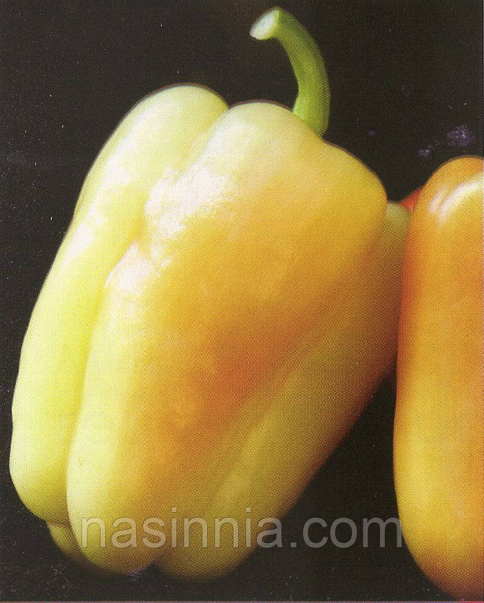 Перець Аден F1 500 насінин, фото 1