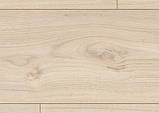 Коркова підлога Egger Дуб Дикий крейдяний Rustic, фото 3