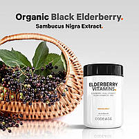 CodeAge Organic Black Elderberry Vitamins/ Органічна чорна бузина 90 капсул BX646, фото 4