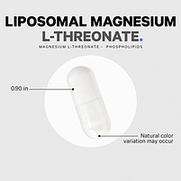 CodeAge Liposomal Magnesium L-Threonat/ Магній L-треонат ліпосомальний 90 капсул BX527, фото 4