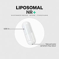 CodeAge Liposomal Nicotinamide Riboside+/Ліпосомальний нікотинамід рибозид 60 капсул BX233, фото 3
