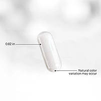 CodeAge GLP-1 Probiotic+/Пробіотик GLP-1 Аккермансія + Інулін 30 капсул BX656, фото 3