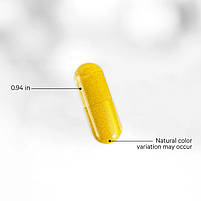 CodeAge M-Burn Optimized/ Оптимізація метаболізму та жироспалювання 60 капсул BX727, фото 3