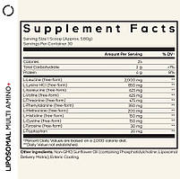 CodeAge Liposomal Multi Amino+/Ліпосомальні незамінні амінокислоти 174,2 г BX179, фото 2