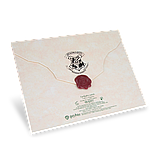 Тіні для повік Mad Beauty Harry Potter Acceptance Letter Eyeshadow Palette, фото 3