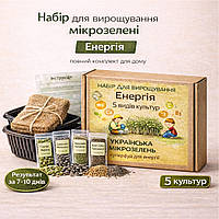 Набір для вирощування мікрозелені 5 культур «Енергія» повний комплект для дому та щоденного використання