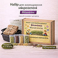 Набір для вирощування мікрозелені 10 культур «Вітамінка» повний комплект для дому та щоденного використання