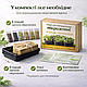 Набір для вирощування мікрозелені 8 культур «Салатний» повний комплект для дому та щоденного використання - фото 2 - id-p2865218020