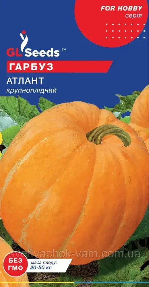 Гарбуз Атлант великоплідна пізня м'якоть товста щільна соковита солодка, упаковка 5 шт