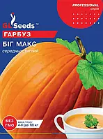 Гарбуз Біг Макс середньостиглий високоврожайний столове призначення, упаковка15 г