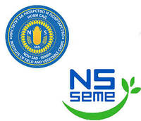 Насіння соняшника нові сад (сербія)