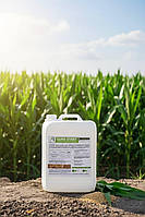 Bor Gum 140 з гуматами 10л