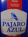 Pajaro Azul, фото 4