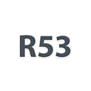 R53
