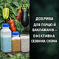 🌱 Добрива для перцю й баклажанів — ефективна сезонна схема
