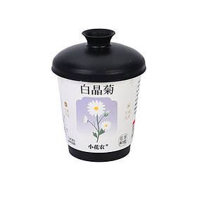 Ботанічні експерименти "Квіти в горщику" Bambi X2024-153-3 ґрунт, насіння, стакан з кришкою, Toyman