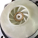 Аналог Wilo Star-RS 25/6-3P для котла (крильчатка 30 мм) голова, фото 3