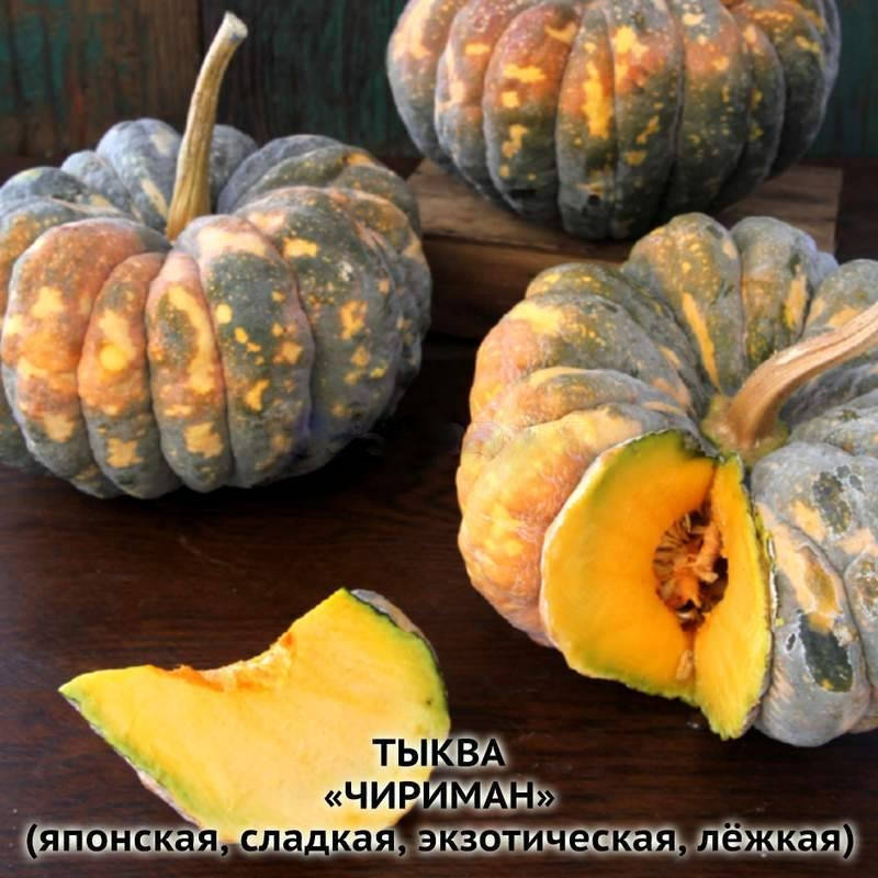 

Тыква Чириман