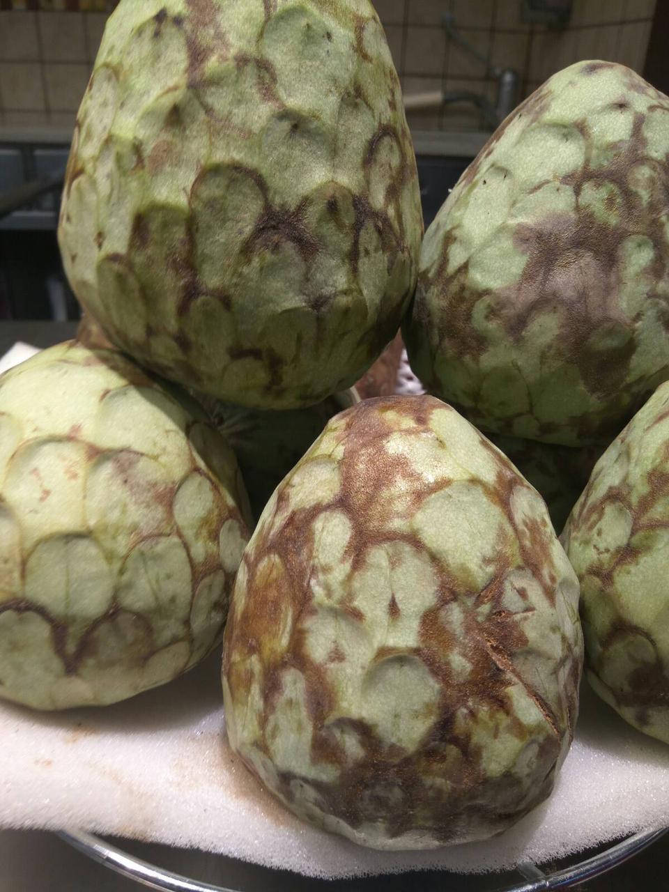 

Гравиола семена