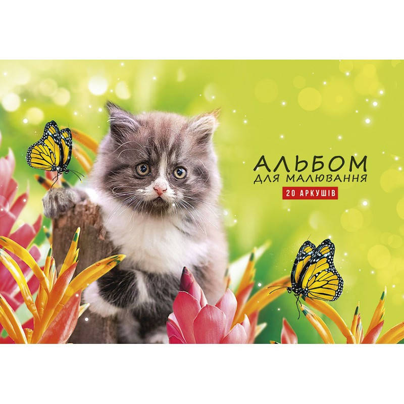 

Альбом для рисования 20 л, A4, проклеен, обл. ЛАК "Школярик Star" /, Разные цвета