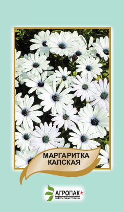 

Семена цветов Маргаритка Капская 20 шт. Агропак плюс, Белый