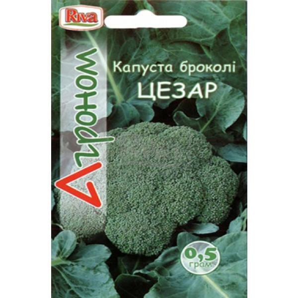 

Семена Капуста брокколи Цезарь 0,5 грамма Riva