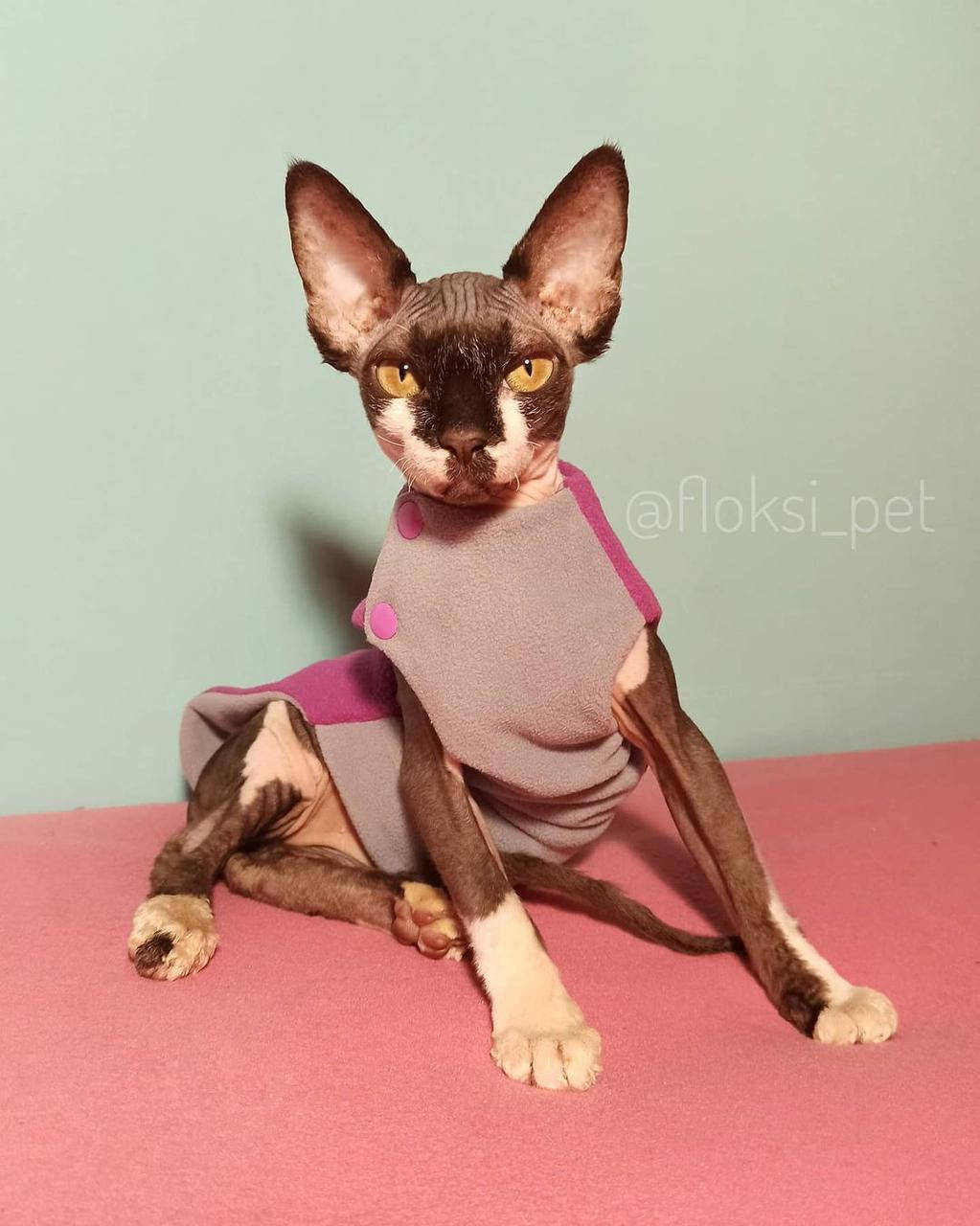 

Двухсторонняя жилетка с кнопками на одном плече для кота / кошки сфинкса