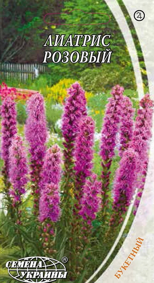 

Лиатрис розовый 0.2 гр СУ (многолет.)