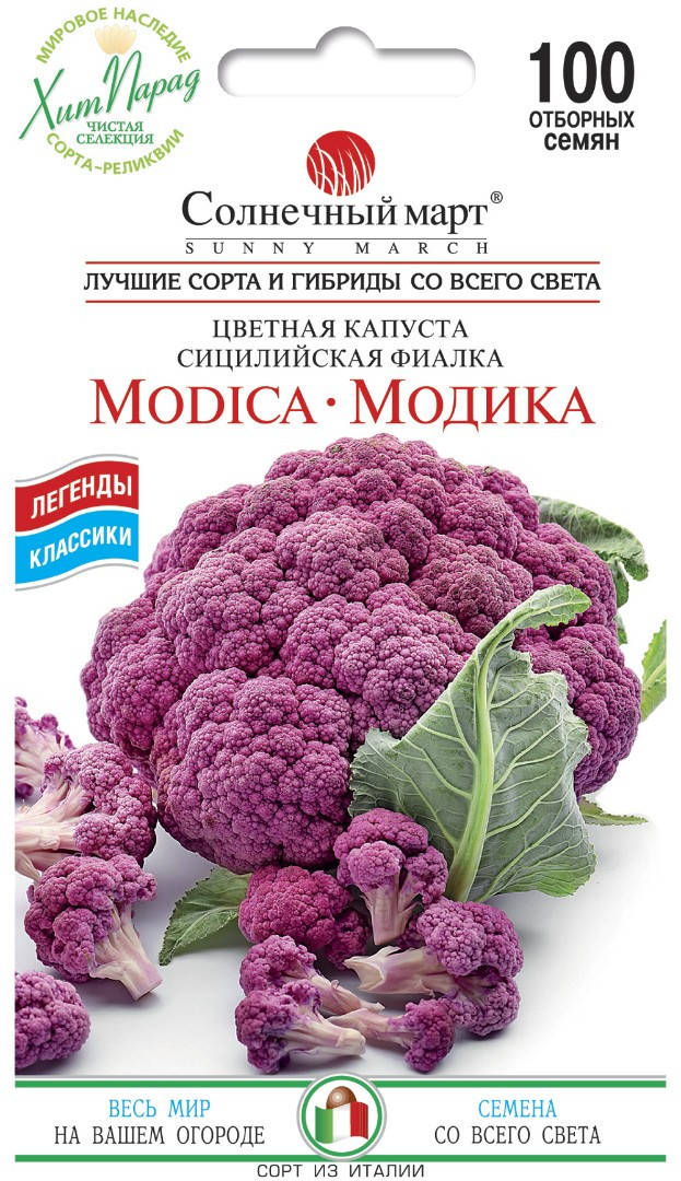 

Капуста цветная Модика/ семена 2021 года