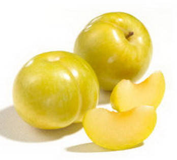 

Слива Флавор Квин. (вс). Подвой алыча