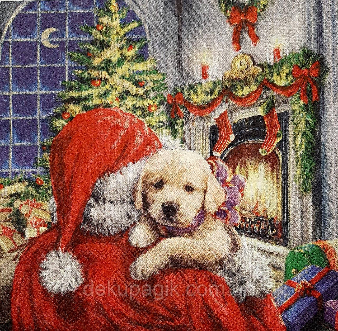 

Салфетка для декупажа 25х25см, НГД-159