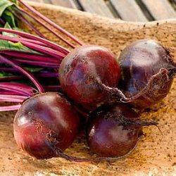 

Семена свеклы Водан F1 (10 000 сем.) Bejo