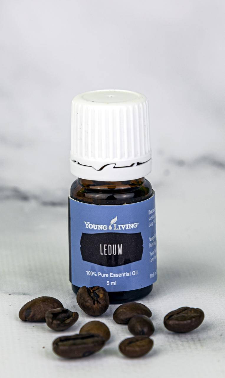 

Эфирное масло Богульника (Ledum) Young Living 5мл