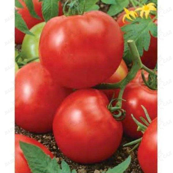 

Семена томата "Баллада"