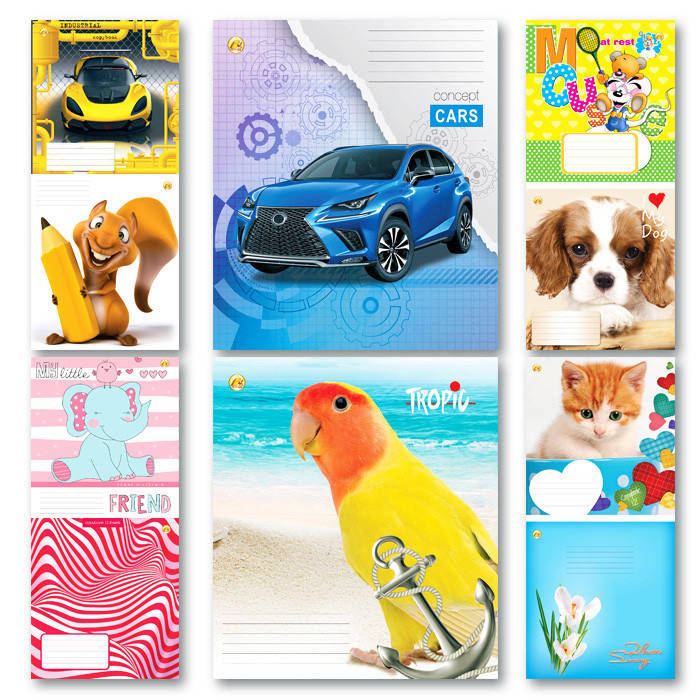 

Тетрадь ученическая 12 стр., косая линия с дополнительной линией, Тетрада