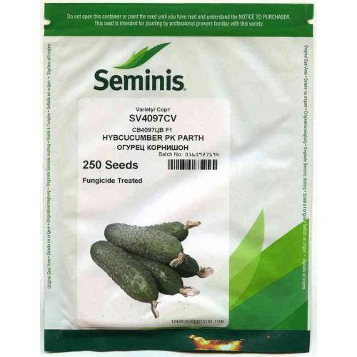 

Семена огурца SV 4097 (250сем.), Seminis (Семинис)