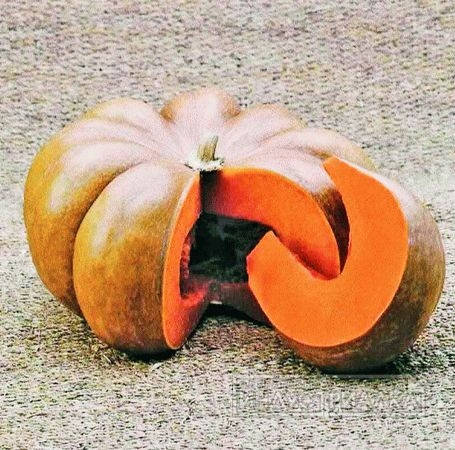 

Тыква Гарбуз Мускат де Прованс 10 шт. (развес)