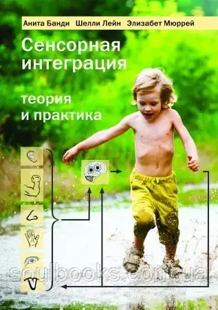 

Сенсорная интеграция. Теория и практика. Анита Банди, Шелли Лейн, Элизабет Мюррей