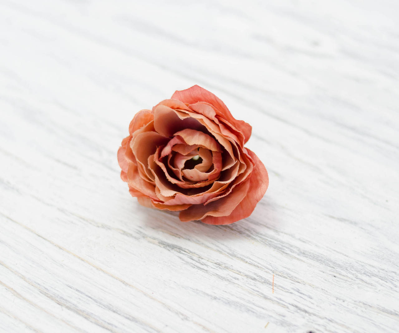 

Гол. ретро-розы. св. терракотовый