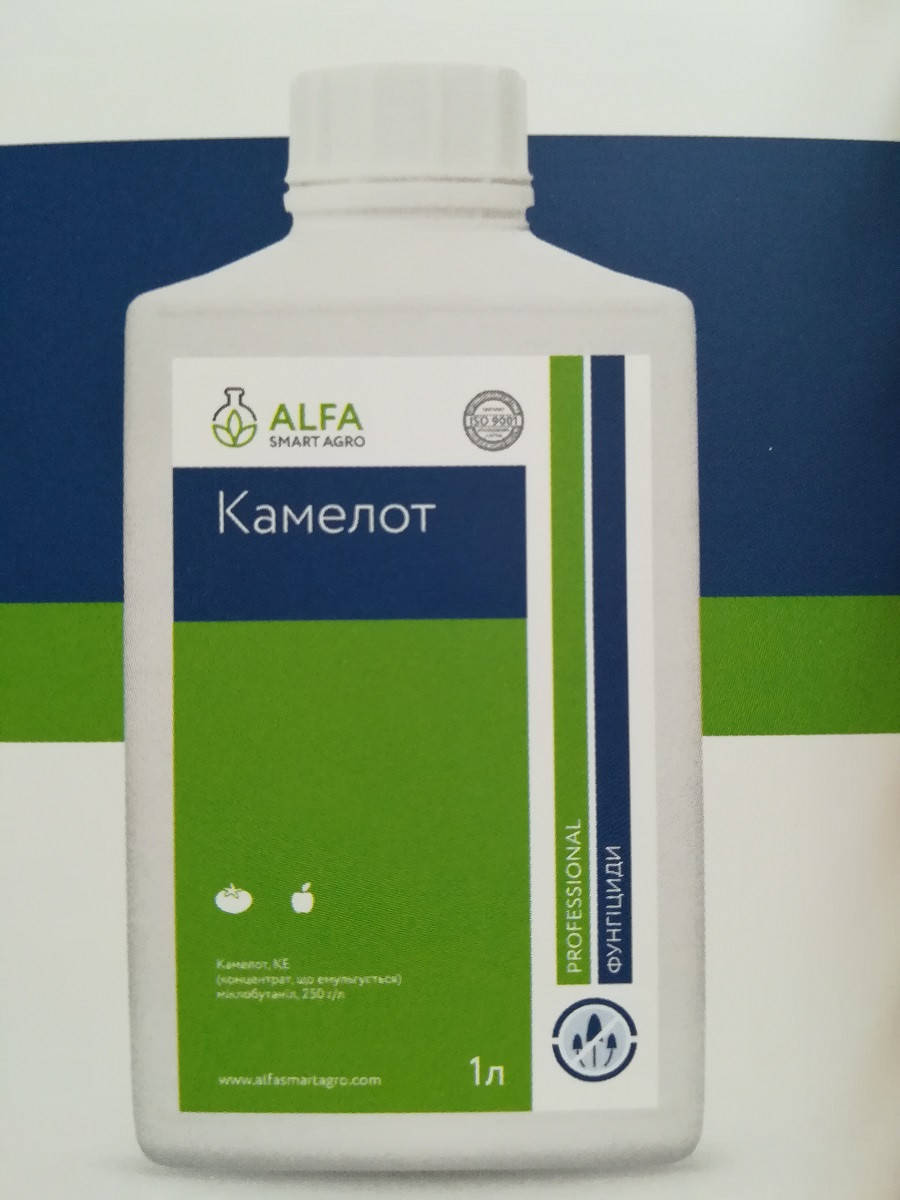 

Фунгицид Камелот