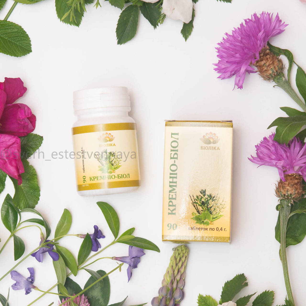 

Кремнио-БИОЛ, травяные таблетки 90 шт. Активизирует обменные процессы в костной и соединительной тканях