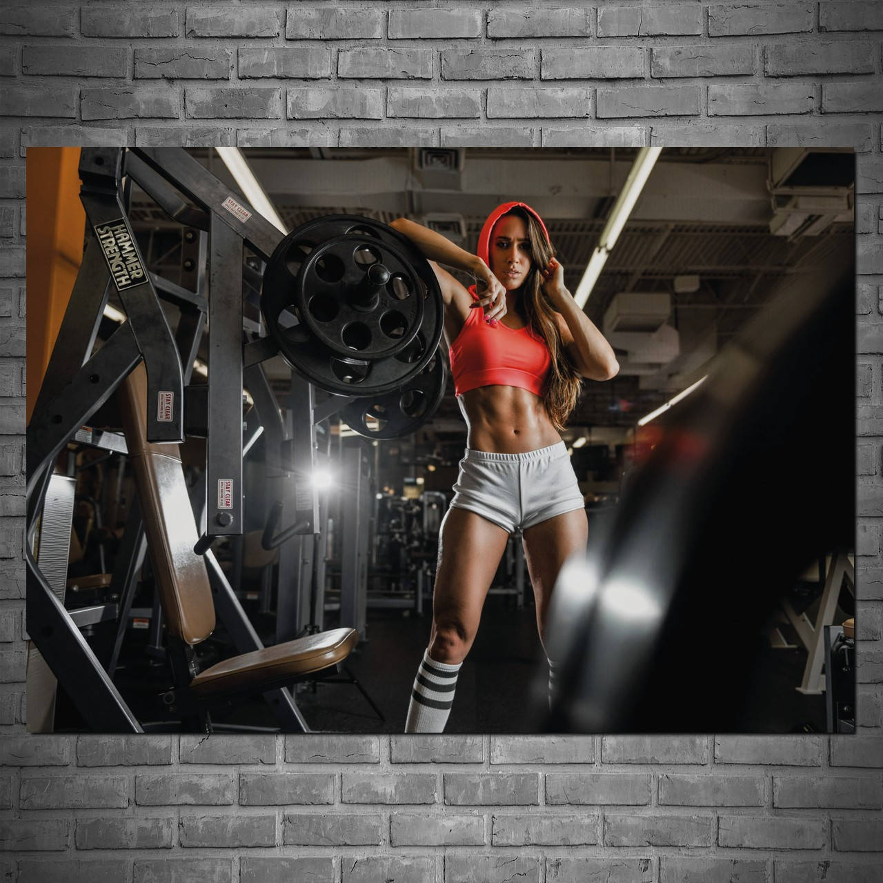 

Плакат "Девушка в красном топе среди тренажёров" (артикул 2683)