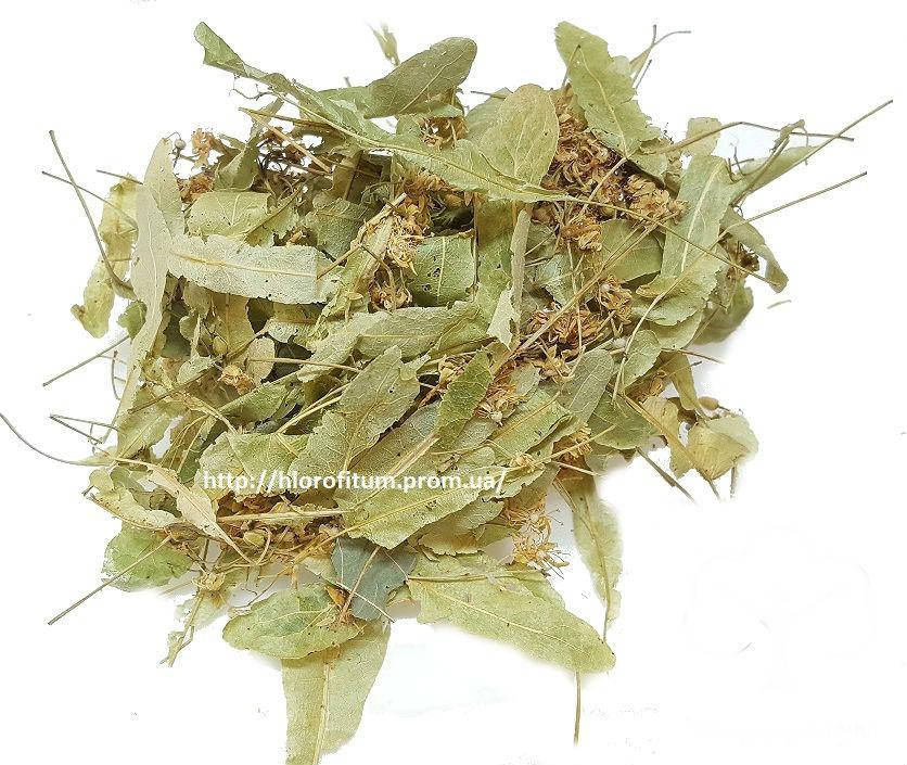 

Липа сердцелистная цветки 50 грамм (Tilia cordata)